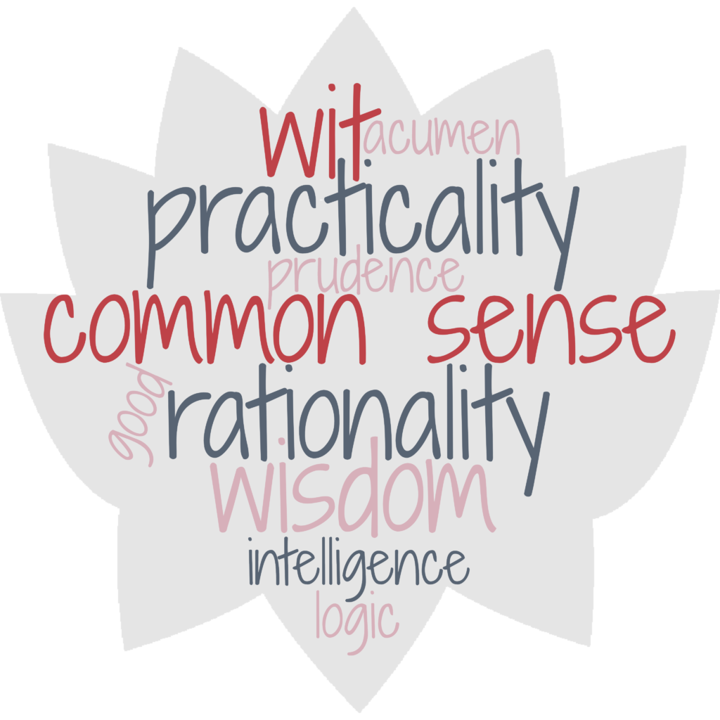 A Word Cloud with synonyms of the word common sense: Intelligence, logic, wisdom, rationality, practicality, wit, acumen, prudence, good